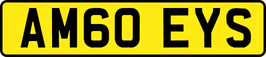 AM60EYS