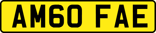AM60FAE
