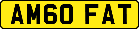 AM60FAT
