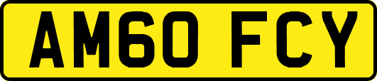 AM60FCY