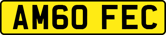 AM60FEC