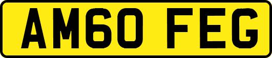 AM60FEG