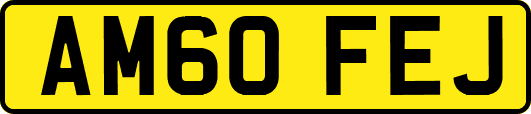 AM60FEJ
