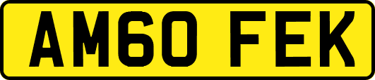 AM60FEK