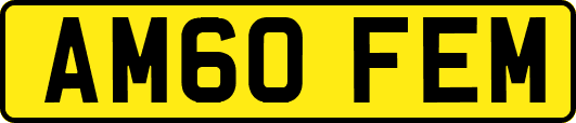AM60FEM