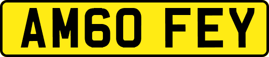 AM60FEY