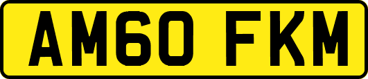AM60FKM