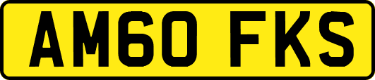 AM60FKS