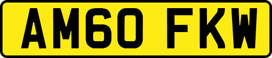 AM60FKW