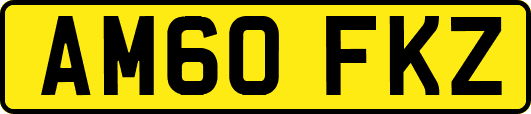 AM60FKZ