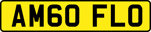 AM60FLO