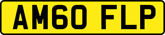 AM60FLP