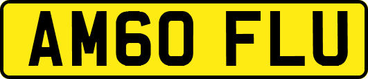 AM60FLU