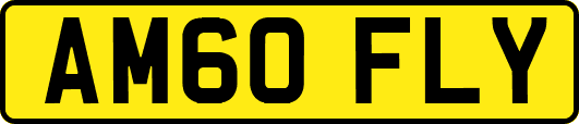 AM60FLY