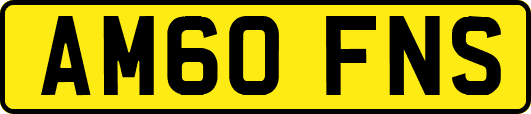 AM60FNS