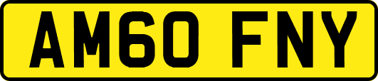 AM60FNY