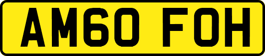 AM60FOH