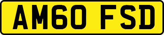 AM60FSD