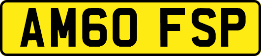 AM60FSP