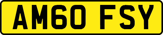 AM60FSY
