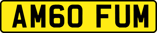 AM60FUM
