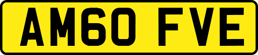 AM60FVE