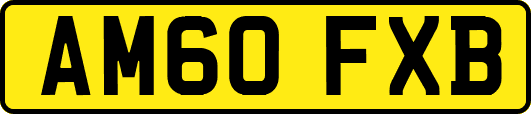 AM60FXB