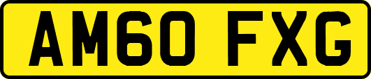 AM60FXG