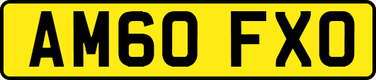 AM60FXO