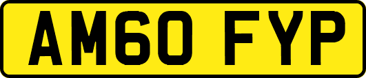 AM60FYP
