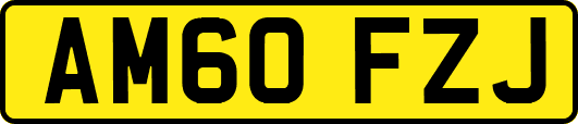 AM60FZJ