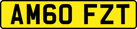 AM60FZT