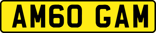 AM60GAM