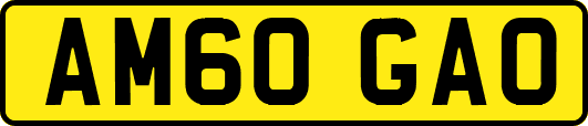 AM60GAO