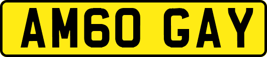 AM60GAY