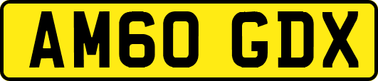 AM60GDX