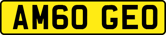 AM60GEO