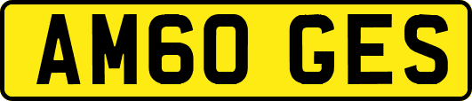 AM60GES