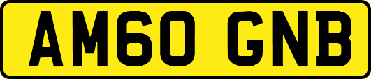AM60GNB