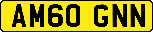 AM60GNN