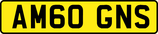 AM60GNS