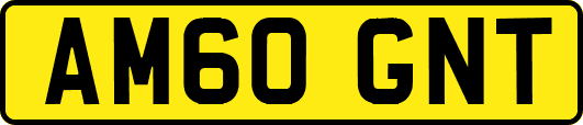 AM60GNT