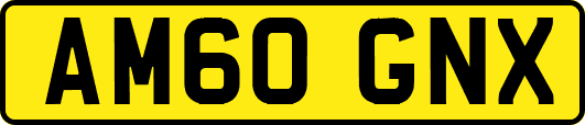 AM60GNX