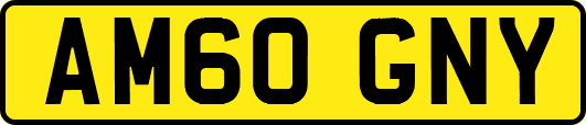 AM60GNY