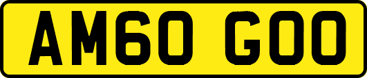 AM60GOO