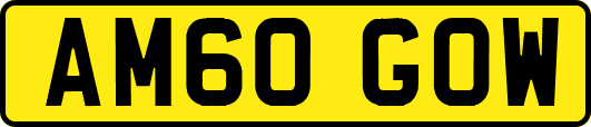 AM60GOW