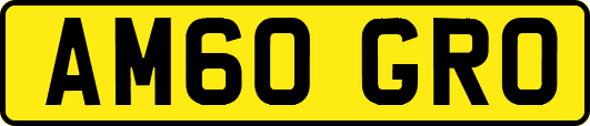AM60GRO