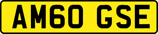 AM60GSE