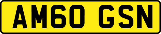 AM60GSN