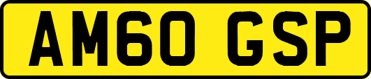 AM60GSP